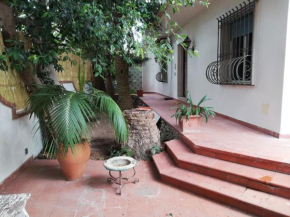 Casa Pandora